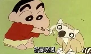 蜡笔小新森林大冒险